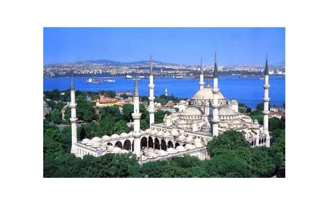  今晚的月色真美下一句（今晚月色真美回答）