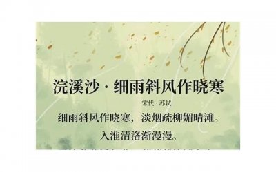 ​关于春节的古诗四句[24条] (春节谚语大全100条)