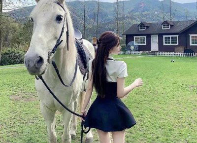 ​有趣的清明节日记阅读