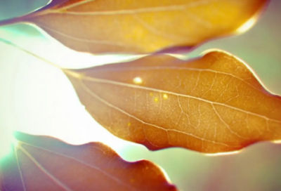 ​关于三月你好的朋友圈文案，3月再见4月你好朋友圈文案(94句)