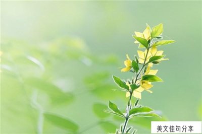 ​会哭的扎心语录（抑郁经典文案78句）