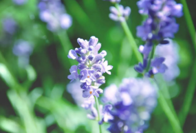 ​考研加油打气的文案最新精选(汇编86句)