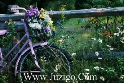 ​放下过去珍惜现在的句子珍惜和放下的说说(49句)