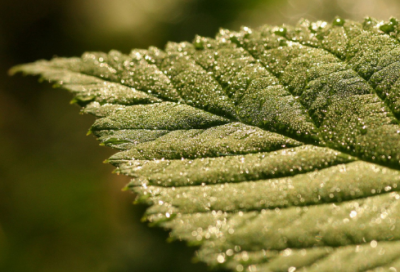 ​元宵节文案 元宵节创意文案