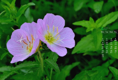 ​五一假期发朋友圈的心情文案【推荐49句】