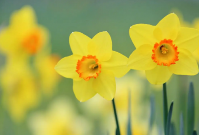 ​八月朋友圈文案唯美短句