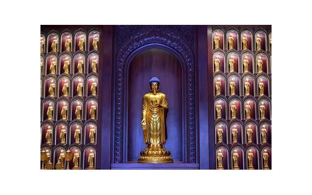 精辟到让你到吐血的句子 一句话噎死人的说说49句