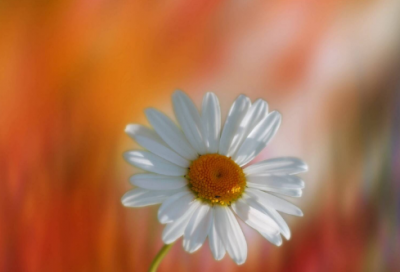 ​七夕怎么发朋友圈文案才完美(优秀)