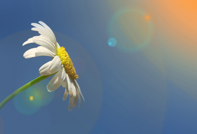 ​端午节礼品卡文案