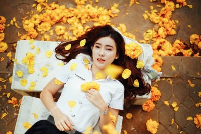 ​关于发狗狗的幽默说说 狗狗可爱的句子