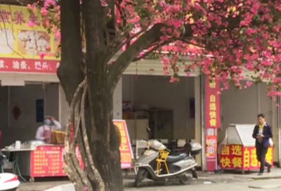 ​情话最暖心长句，对女朋友说的暖心的话