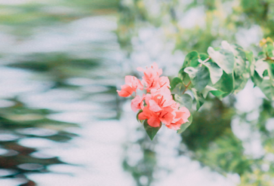 ​适合五一时发朋友圈的简短文案【集锦94句】