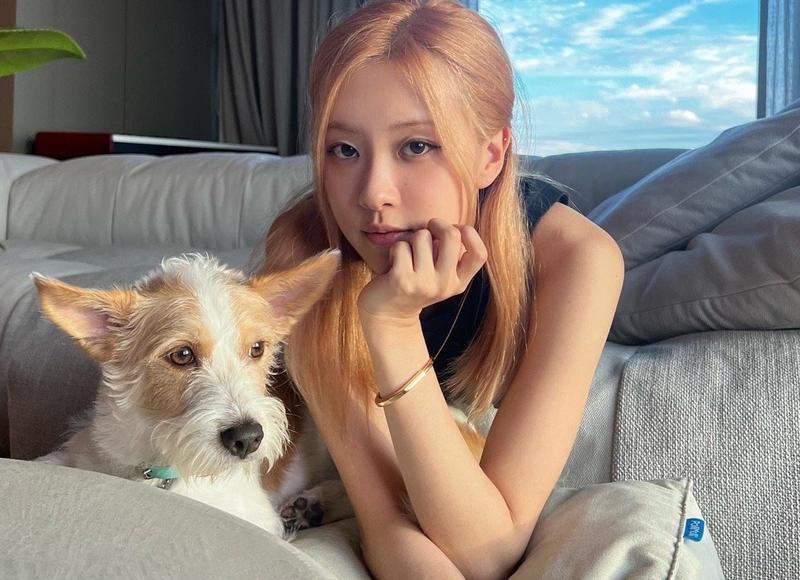 永远不要在别人说3件事的时候多嘴 永远不要在别人说3件事的时候多嘴