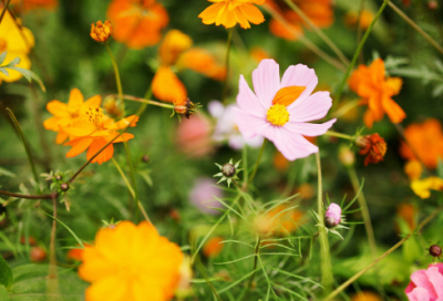 ​热爱党的100年华诞简短文案句子