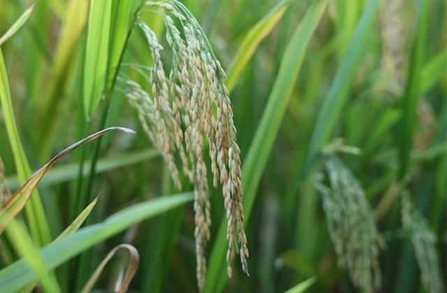 被抛弃的伤感文案