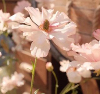 ​简短唯美文案句子大全 生活文案短句干净治愈伤感