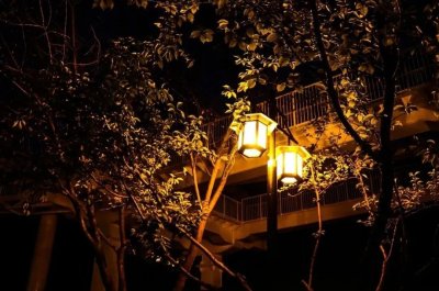 ​文案 | 失望至极的伤感唯美句子文案