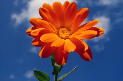 ​祝福哥哥结婚的文案短句干净（哥哥结婚祝福语说什么？）