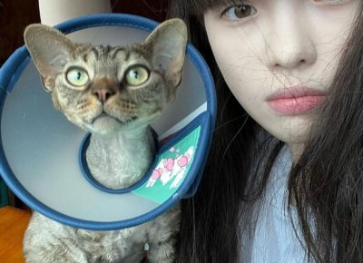 ​人生感言适合发朋友圈吗（人生感言）