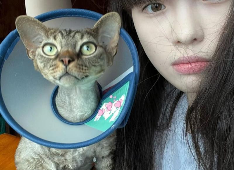 人生感言适合发朋友圈吗（人生感言）