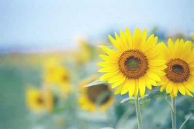 ​善待老人的经典句子文案