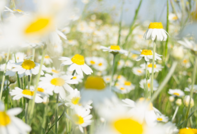 ​伤感说说：自己伤心的句子qq说说