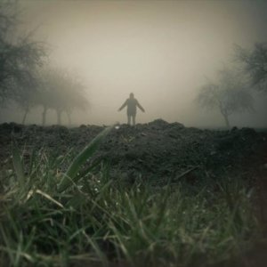 ​关于爱情的唯美说说(15句)