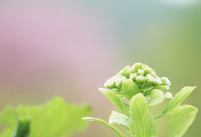 ​妇女节暖心文案,央视妇女节文案【精选】