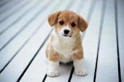 ​九一八事变90周年句子文案(精选96句)