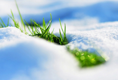 ​2026年最火文案抖音最火文案