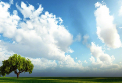 ​关于2027最流行的说说