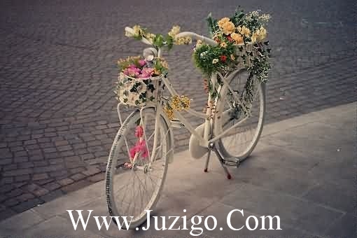 伤感扎心说说语录2026年伤感扎心语录(精选85句)