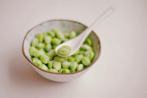 保护动物的宣传语(精选82句)