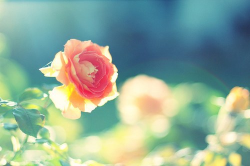 表达自己嘴笨的说说2026年写自己不会说话的说说