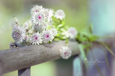 ​个性说说霸气高冷说说[36句] (2026年最新朋友圈说说)