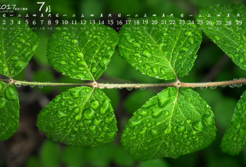 1694068313864551.png image.png