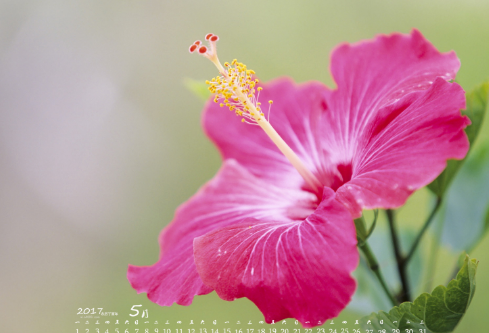 1694068977102536.png image.png