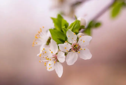 1694069309725903.png image.png