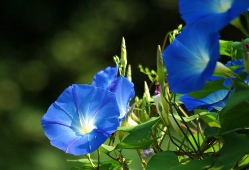 1694069642907282.png image.png