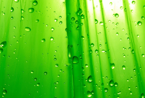 1694070306751119.png image.png