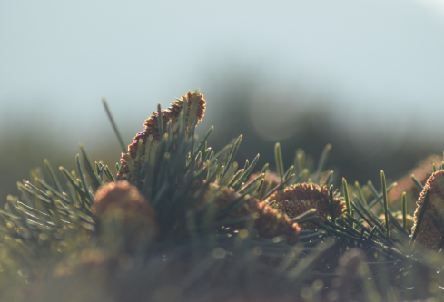 1694071136130347.png image.png