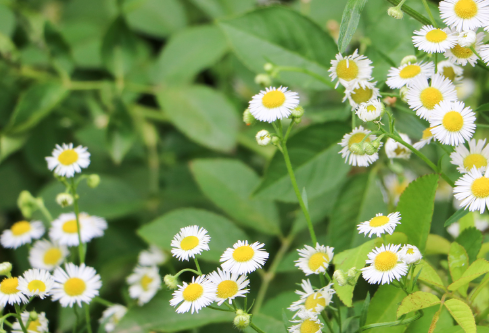 1694071469107273.png image.png