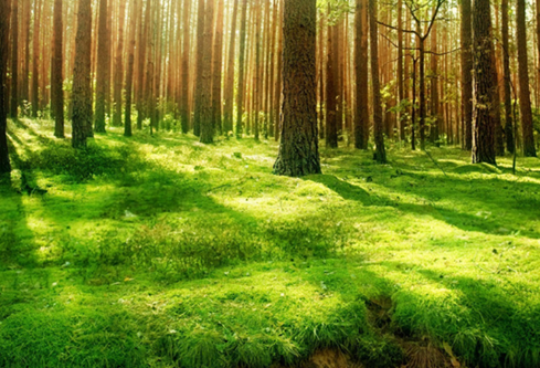 1694072300259008.png image.png