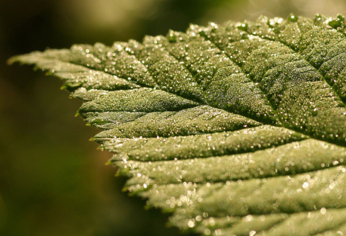 1694072799864078.png image.png