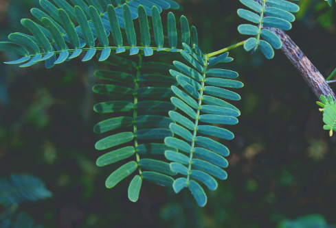 1694073795137959.png image.png