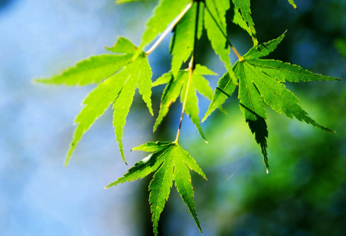 1694075290277253.png image.png