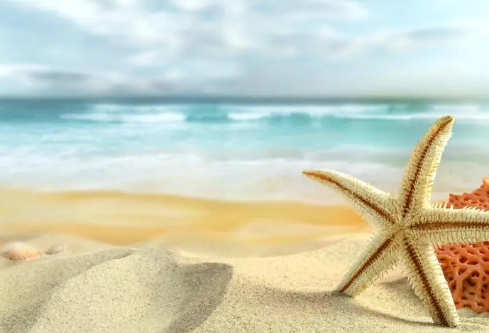 1694075456151600.png image.png