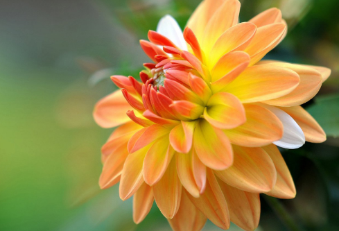 1694075955152676.png image.png