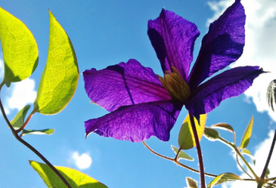 ​霸气激励人心的诗句 激励人心的诗句(精选22句)