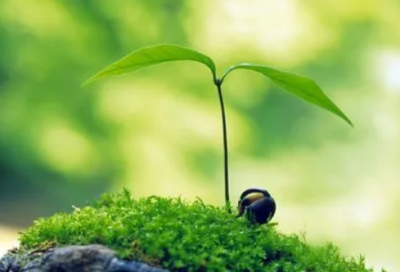 ​感谢老师的诗句暖心简短 感谢老师的诗句(精选29句)